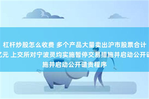 杠杆炒股怎么收费 多个产品大量卖出沪市股票合计11.95亿元 上交所对宁波灵均实施暂停交易措施并启动公开谴责程序