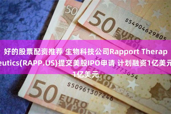 好的股票配资推荐 生物科技公司Rapport Therapeutics(RAPP.US)提交美股IPO申请 计划融资1亿美元