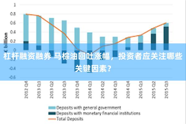 杠杆融资融券 马棕油回吐涨幅，投资者应关注哪些关键因素？