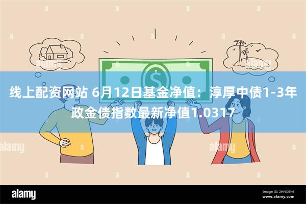 线上配资网站 6月12日基金净值：淳厚中债1-3年政金债指数最新净值1.0317