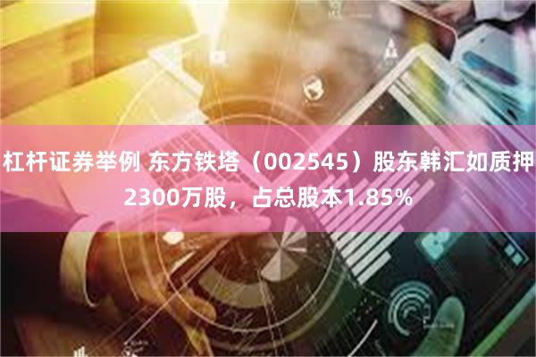 杠杆证券举例 东方铁塔（002545）股东韩汇如质押2300万股，占总股本1.85%