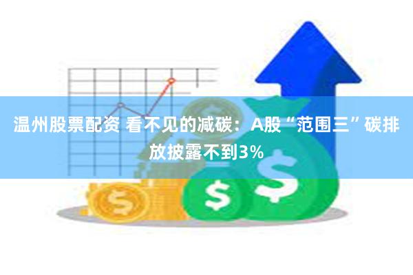 温州股票配资 看不见的减碳：A股“范围三”碳排放披露不到3%